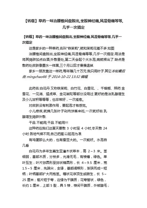 【转载】草药一味治腰椎间盘脱出,坐股神经痛,风湿骨痛等等,几乎一次搞定