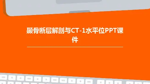 颞骨断层解剖与CT-1水平位PPT课件