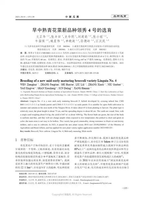 早中熟青花菜新品种领秀4_号的选育