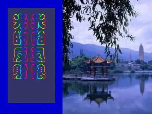 八年级物理光的反射1