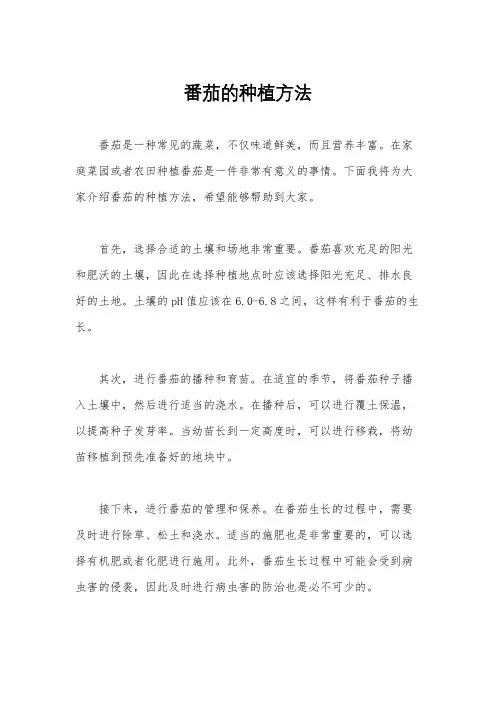 番茄的种植方法