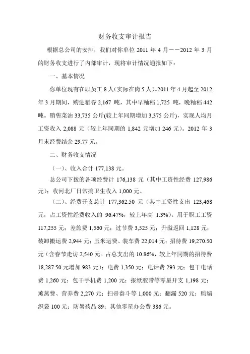 财务收支审计报告
