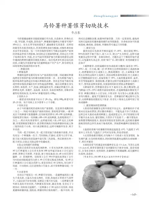 马铃薯种薯催芽切块技术