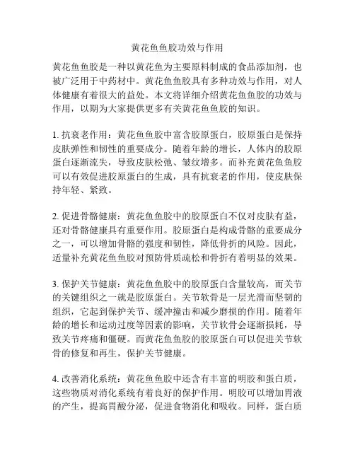 黄花鱼鱼胶功效与作用