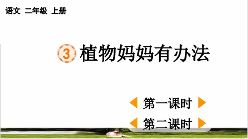 部编版二年级语文上册第一单元第3课《植物妈妈有办法》教学课件