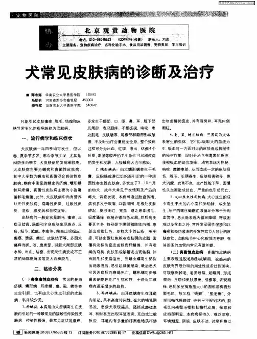 犬常见皮肤病的诊断及治疗