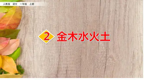 《金木水火土》ppt课件优秀版