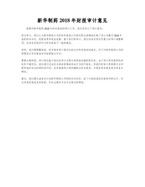 新华制药2018年财报审计意见