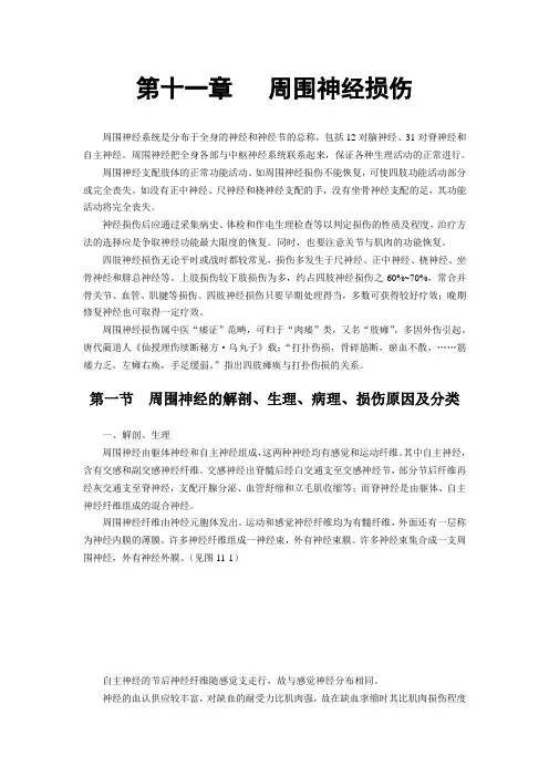 第十一章   周围神经损伤--中医筋伤学(六版)