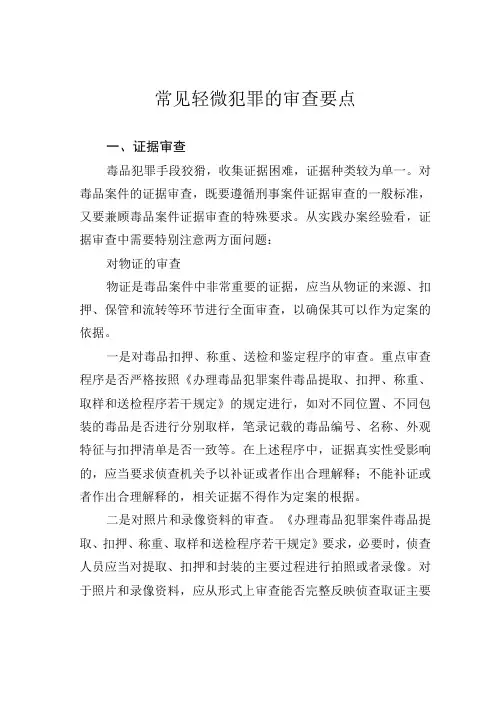 常见轻微犯罪的审查要点