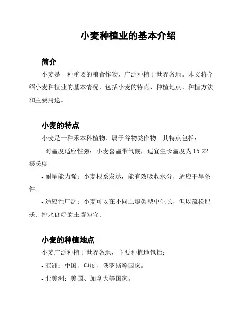 小麦种植业的基本介绍