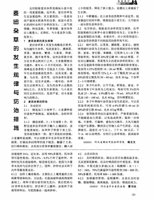 麦田桑草的发生规律与防治措施