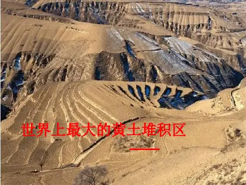 《世界最大的黄土堆积区——黄土高原》3PPT课件