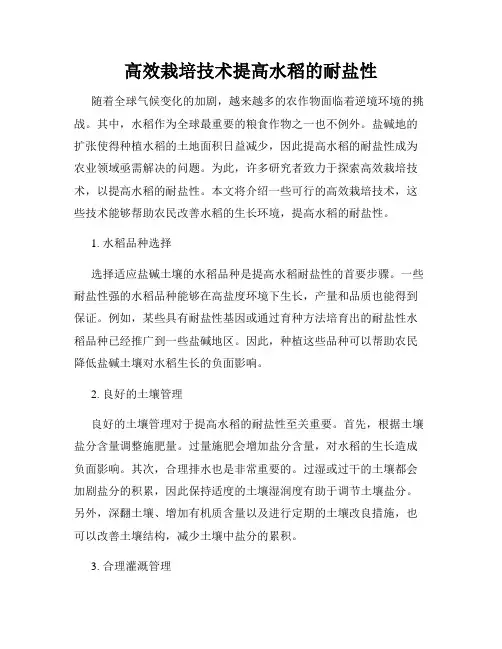 高效栽培技术提高水稻的耐盐性