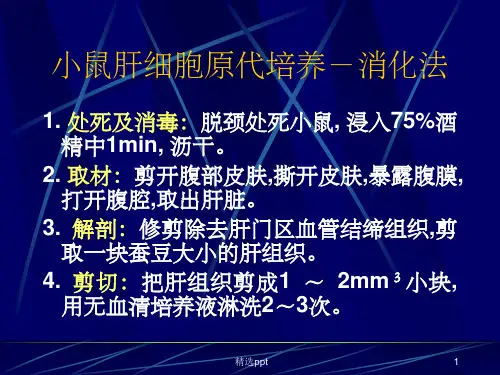小鼠肝细胞原代培养ppt课件