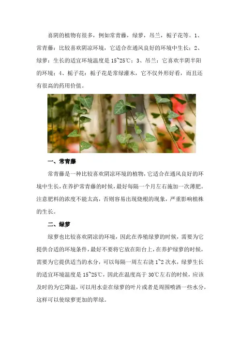 喜阴的植物