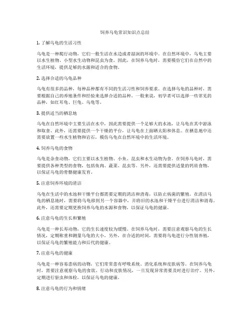 饲养乌龟常识知识点总结