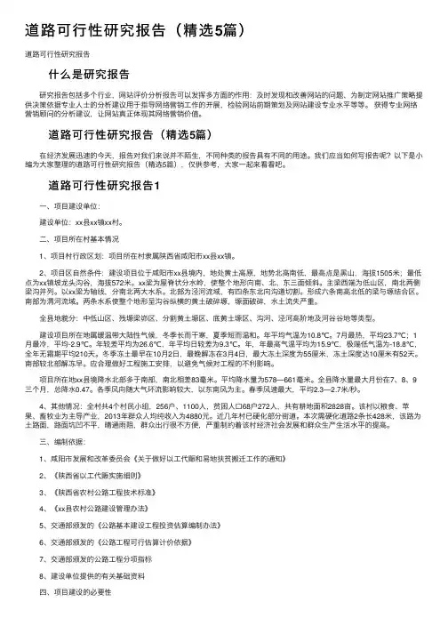 道路可行性研究报告（精选5篇）