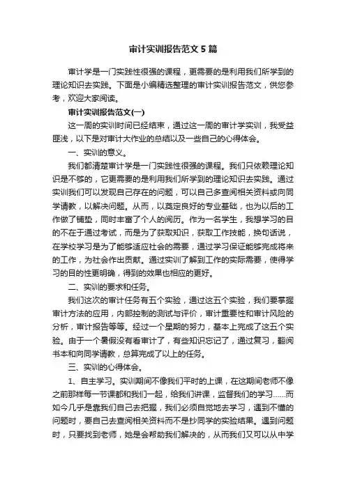 审计实训报告范文5篇