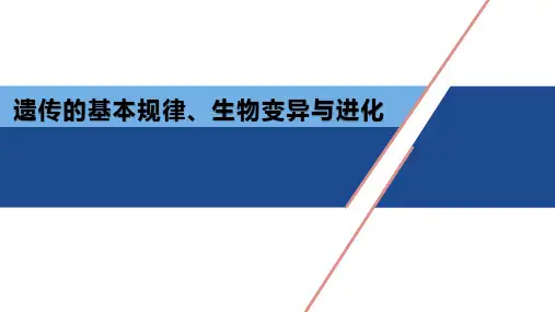 高三二轮复习生物山东生物高考遗传基本规律课件
