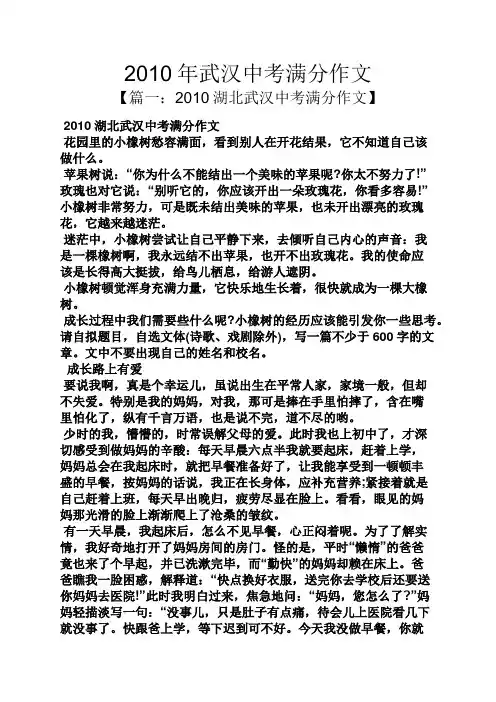 中考作文之2010年武汉中考满分作文