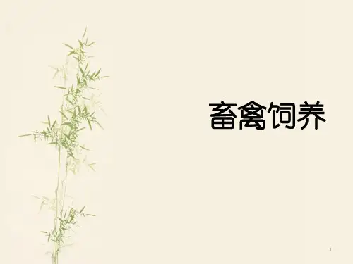家禽养殖技术课件