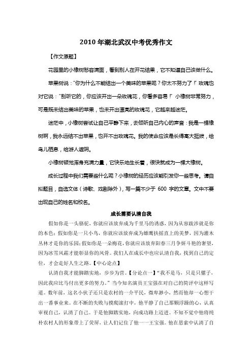 2010年湖北武汉中考满分作文《成长需要认清自我》