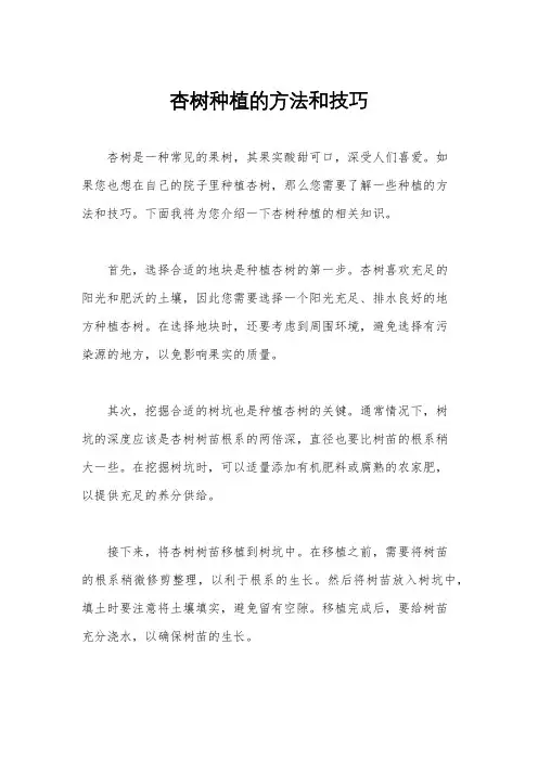 杏树种植的方法和技巧