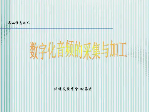 数字化音频的采集与加工推荐优秀PPT