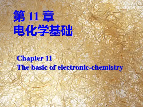 大学化学 电化学基础