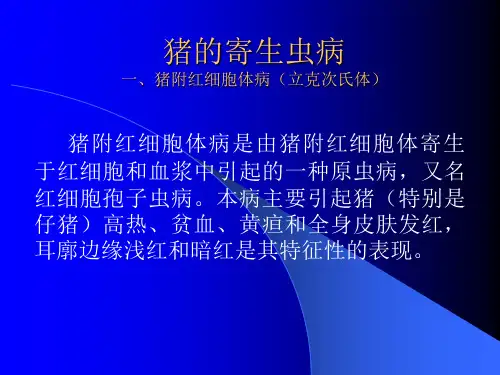 猪的寄生虫病