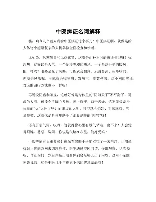 中医辨证名词解释
