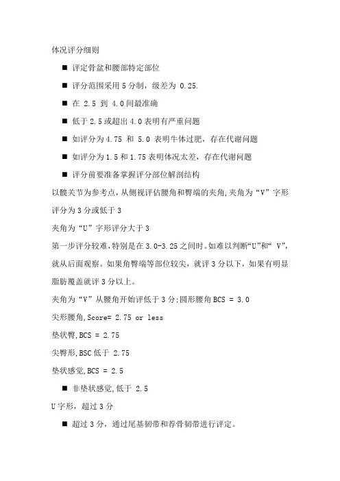 奶牛体况评分细则