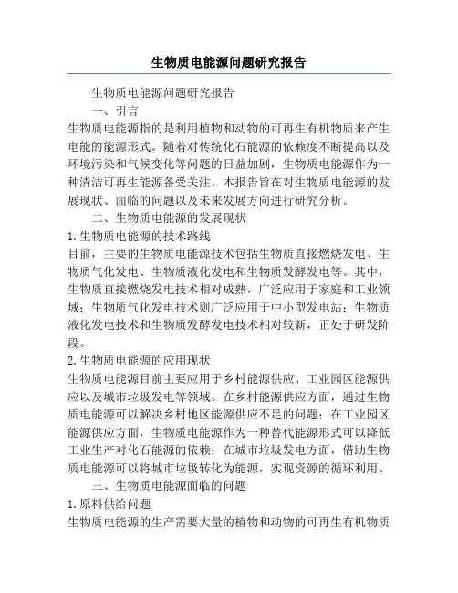 生物质电能源问题研究报告