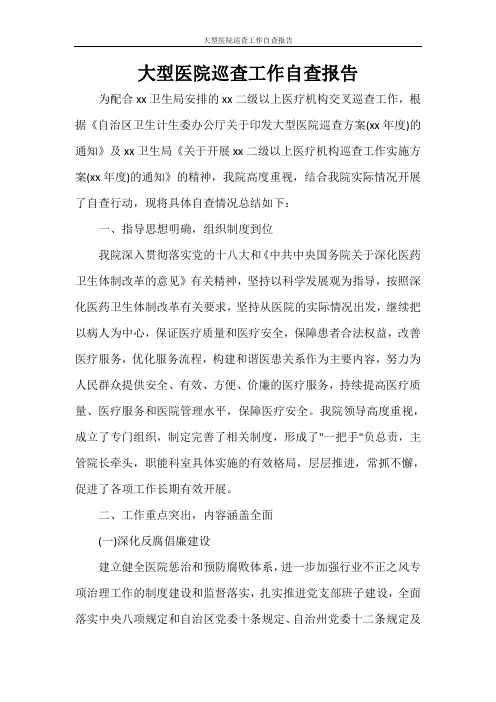 大型医院巡查工作自查报告
