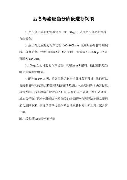 后备母猪应当分阶段进行饲喂