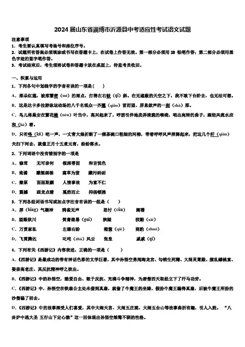 2024届山东省淄博市沂源县中考适应性考试语文试题含解析