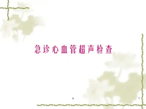 急诊心血管超声检查