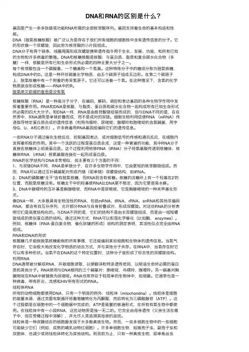 DNA和RNA的区别是什么？