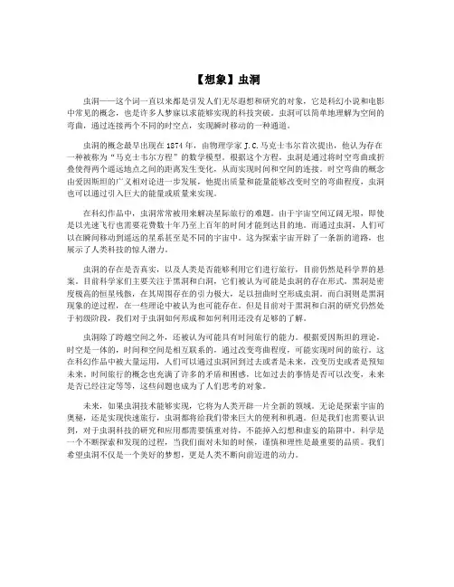 【想象】虫洞