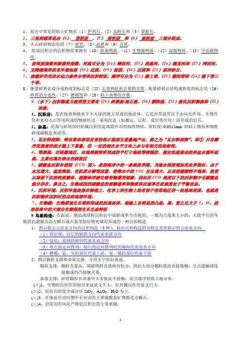 沉积岩石学及岩相古地理(DOC)