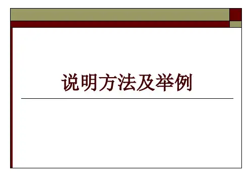 说明方法及举例说明PPT