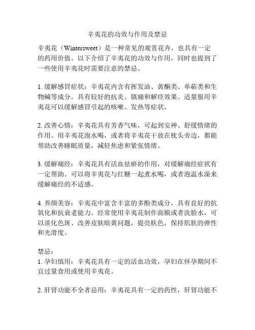 辛夷花的功效与作用及禁忌