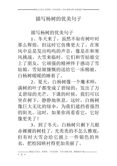 描写杨树的优美句子