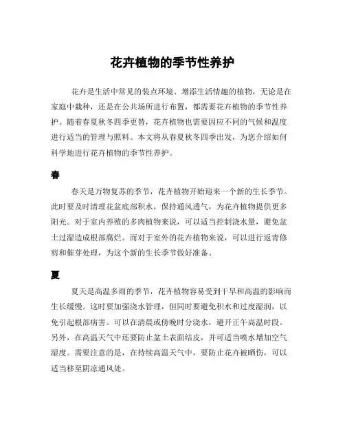 花卉植物的季节性养护
