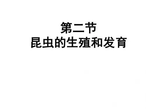 第二节昆虫的生殖和发育