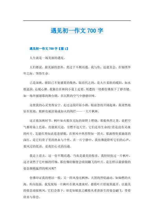 遇见初一作文700字