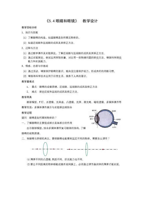眼睛和眼镜教学设计
