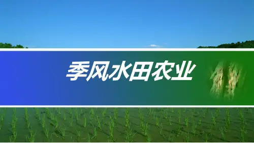 人教版高中地理必修二3.2《季风水田农业》课件(共14张PPT)