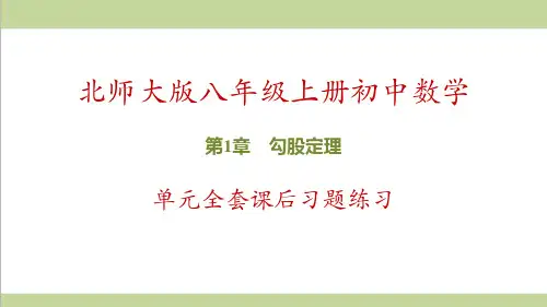 北师大版初二上册数学 第1章 勾股定理 全章重点习题练习课件